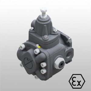 Değişken Deplasmanlı Paletli Pompalar